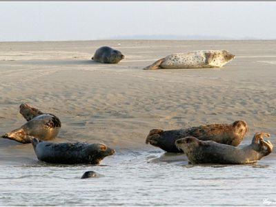 Gite De La Baie D'Authie Groffliers Экстерьер фото